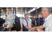 Kütahya'da kurban pazarında alışverişler başladı