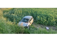 Tokat'ta tarlaya devrilen otomobildeki 4 kişi yaralandı