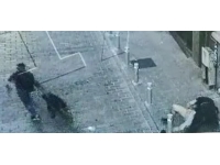 İstanbul'da pitbull ile gasp kamerada