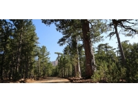 Denizli'de ormanlarda piknik ve konaklama yasaklandı