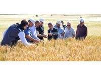 Kırşehir'de "Tarla Günü" etkinliği düzenlendi