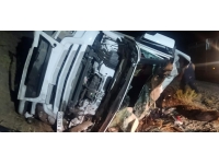 Bitlis'te duvara çarparak devrilen tırın şoförü yaralandı