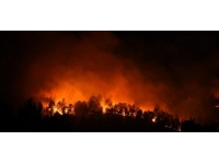 Fransa'da yangın: 600 hektardan fazla yeşil alan kül oldu