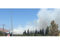 Muğla'da tarım arazisi ve makilik alanda yangın