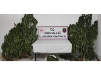 İzmir'de uyuşturucu operasyonları: 21 gözaltı