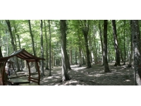 Kilis'te ormanlık alanlara giriş 1 Ekim'e kadar yasaklandı