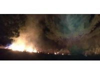 Adana'da çıkan orman yangını söndürüldü