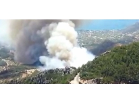 Muğla'da orman yangını