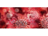 Haftalık koronavirüs tablosu açıklandı