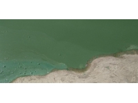 İSKİ: Sazlıdere Barajı'nda meydana gelen renk değişimi doğal bir süreç