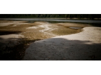 İtalya'da kuraklık: Tarım sektörü zorlanıyor