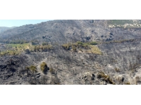 Datça'da soğutma çalışmaları sürüyor