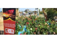 15 Temmuz şehitleri adına 251 gül