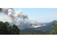 Balıkesir'de orman yangını: Havadan ve karadan müdahale ediliyor