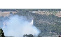 Bursa'da zeytinlik alanda yangın