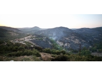 Balıkesir'deki orman yangınında soğutma çalışmaları sürüyor