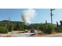 Aydın'da orman yangını: Havadan ve karadan müdahale sürüyor