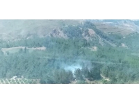 Manisa'da orman yangını: Müdahale sürüyor