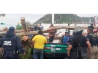 Meksika’da 25 metrelik ağaç aracın üzerine devrildi: 1 ölü, 3 yaralı