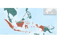 Endonezya'da eğitim uçağının düşmesi sonucu pilot öldü