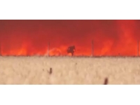 İspanya'da alevlerin ortasında kalan adam son anda kurtuldu