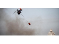 İtalya'da birçok noktada çıkan orman yangınları hayatı felç etti