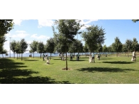 Bayram tatilinde İstanbul'un yeşil alanlarından 1200 ton çöp toplandı