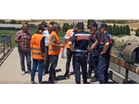 Ceyhan Nehri’nde oksijensiz kalan balıklar telef oldu