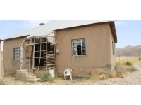 Toprak evde yılan paniği: 5 yılda 100'ün üstünde yılan çıktı