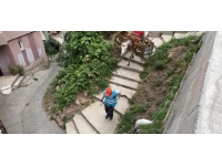 Hatay'da çöpler atlarla toplanıyor