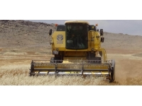 Siirt’te son 20 yılın en bereketli hasadı yaşandı