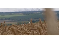 Dünya gıda kriziyle karşı karşıya