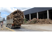 Sinop'ta, selin getirdiği ağaç parçaları enerjiye dönüşüyor