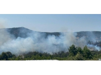 Kırklareli'nde orman yangını