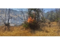 Bingöl'deki yangın büyümeden söndürüldü