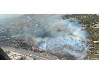 İzmir'de makilik alanda yangın: Müdahale sürüyor