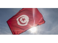 Tunus'ta yeni anayasa taslağı kabul edildi