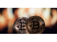 170 milyon dolarlık Bitcoin'i çöpe attı, robot köpeklerden yardım istedi