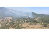 İzmir'de orman yangını: Havadan ve karadan müdahale ediliyor