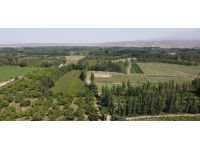 İrem Bağları doğal güzelliği ile göz kamaştırıyor