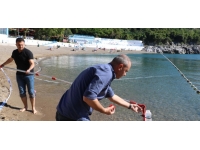 Zonguldak'ta atık su taştı: Denize girmek yasaklandı