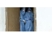 Nijerya'da Lassa ateşinden ölenlerin sayısı 162'ye çıktı