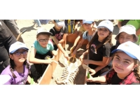 Yozgat'ta çocuklar için arkeolojik kazı etkinliği düzenlendi