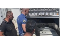 Trafonun içinde yakalandı, "kelepçe takmayacaksanız çıkarım" dedi