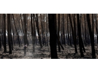 Fransa'daki yangınların kundaklayıcısı gönüllü itfaiyeci çıktı