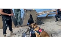 Tekirdağ Limanı'nda 242 kilo kokain ele geçirildi