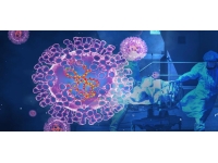 Sudan'da ilk maymun çiçeği vakası tespit edildi