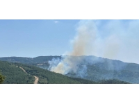 Çanakkale'de çıkan orman yangınına müdahale ediliyor