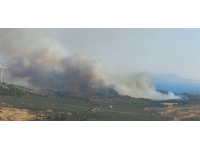 İzmir'de tarım arazisinde yangın