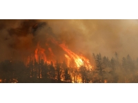 ABD'deki yangınlar ve fırtına endişe kaynağı olmayı sürdürüyor